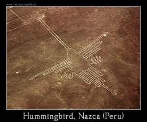 Humming Bird Nazca Lines Peru